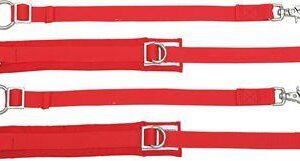 ARM RESTRAINT - 1ST RACE